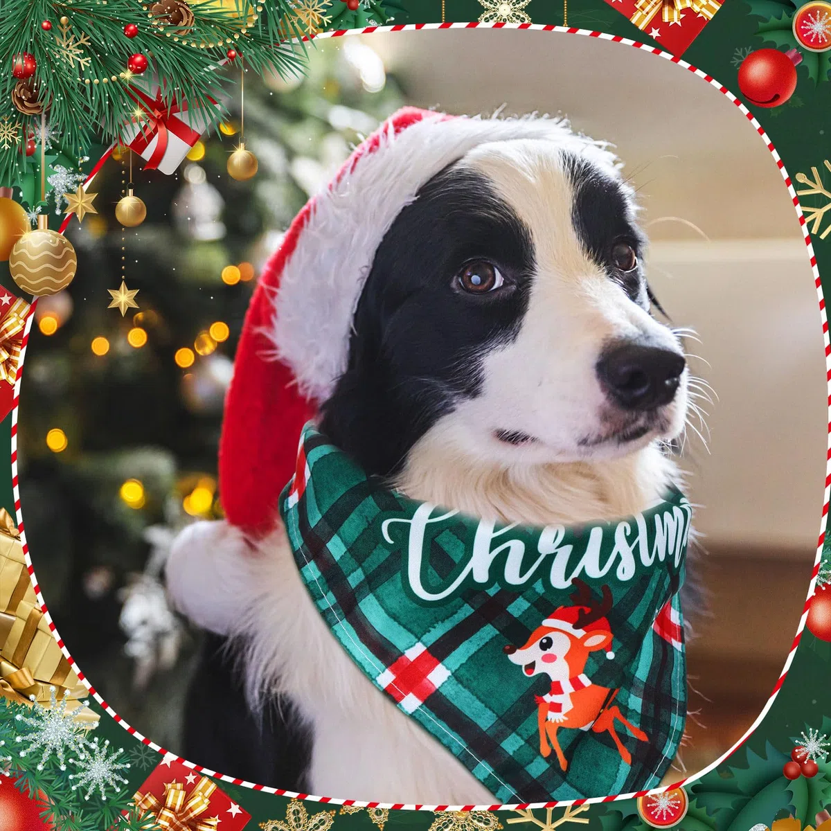 Abbylike 50 Bandanas de Navidad a Cuadros para Perro, Bufanda para Perros, Baberos para Cachorros, Bandanas Ajustables y Lavables, Accesorios de Disfraz para Mascotas, Suministros de Aseo para Gatos