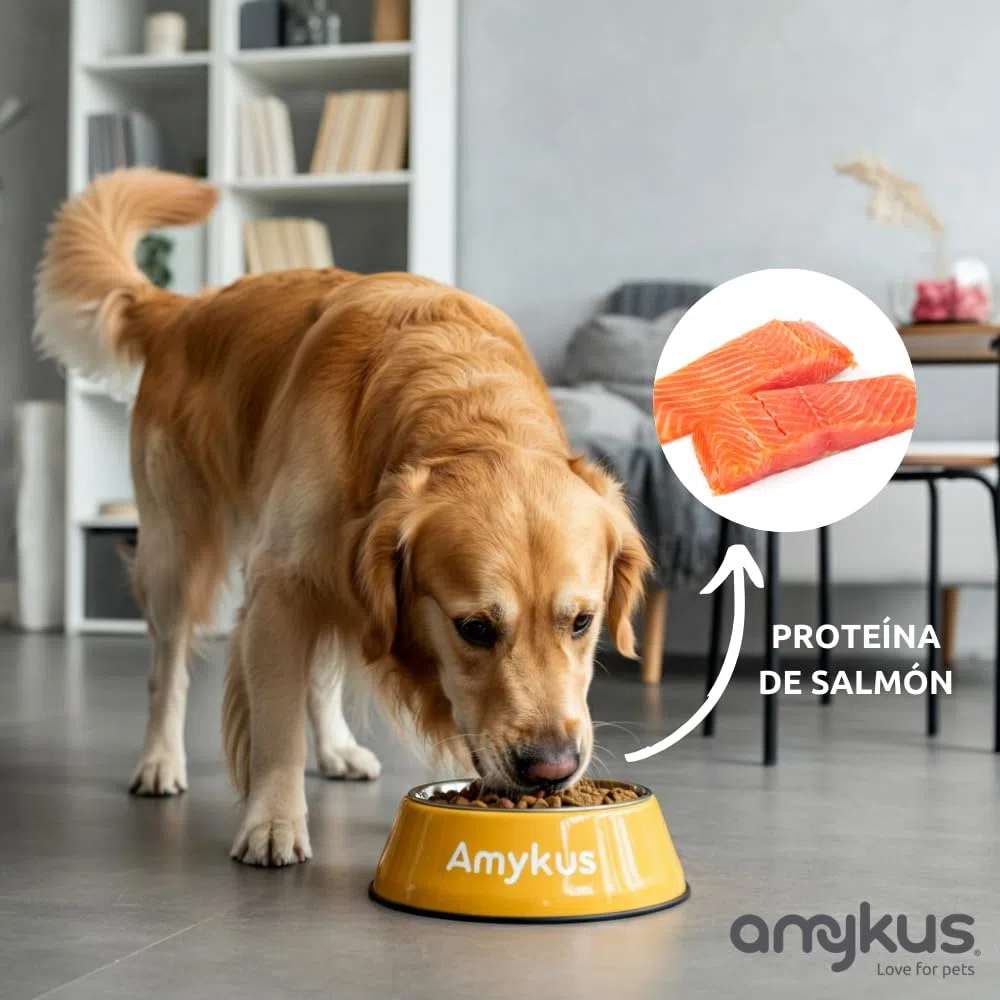 Hypoallergenic Grain Free Salmon 8 kg | Pienso para Perros Adultos Hipoalergénico sin Cereales | De Salmón | para Perros con Alergias o Intolerancias Alimentarias