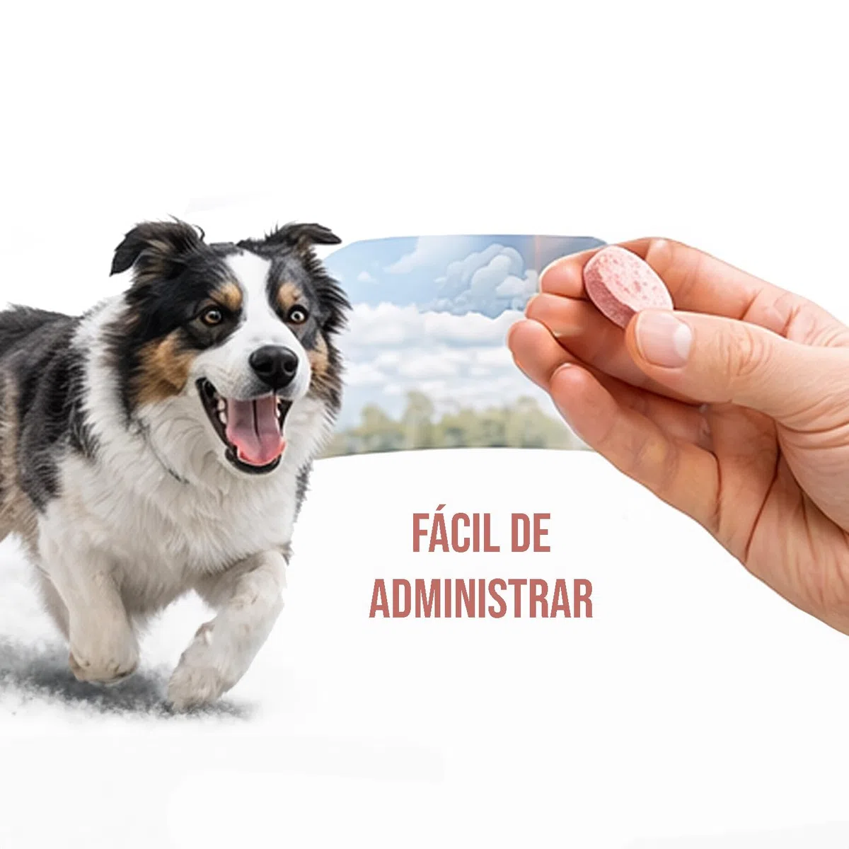 Laboratorios Pino Pinoquin Plus Condroprotector para Perros y Gatos con MSM, Glucosamina, Condroitina, Colágeno y Ácido Hialurónico, Apoyo Articular 160 Comprimidos