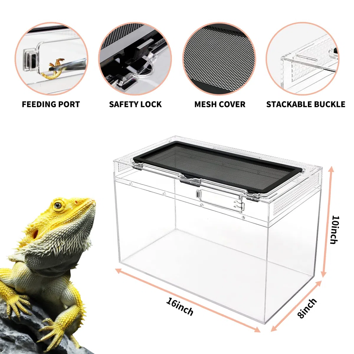 Reptile Growth Kit de terrario para reptiles, 40.6x20.3x25.4 cm, jaulas de hábitat de anfibios, cuenco de agua para alimentos, lavabo con ventosa para lagarto barbudo Dragon Gecko