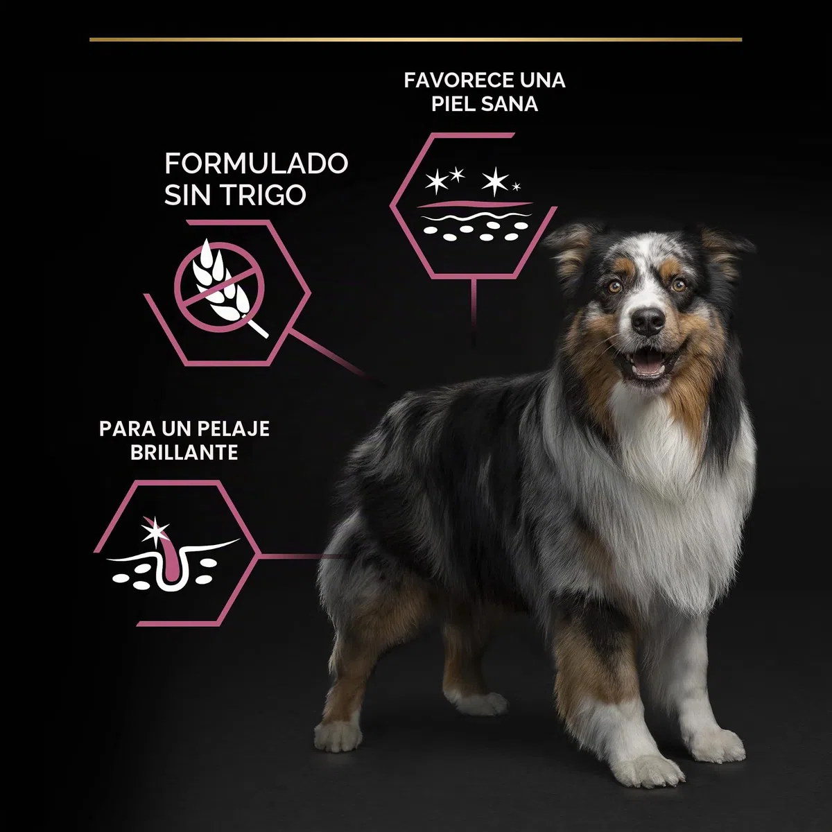 Pro Plan - Medium Adult Sensitive Skin con Optiderma, Rico en salmón – 7 kg – Pienso para Perros Adultos de tamaño Mediano