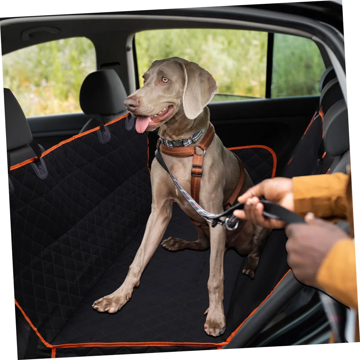 Funda para Coche para Perros Asientos de Coche para Mascotas Cierre Táctil y Base Antideslizante para Perros Grandes