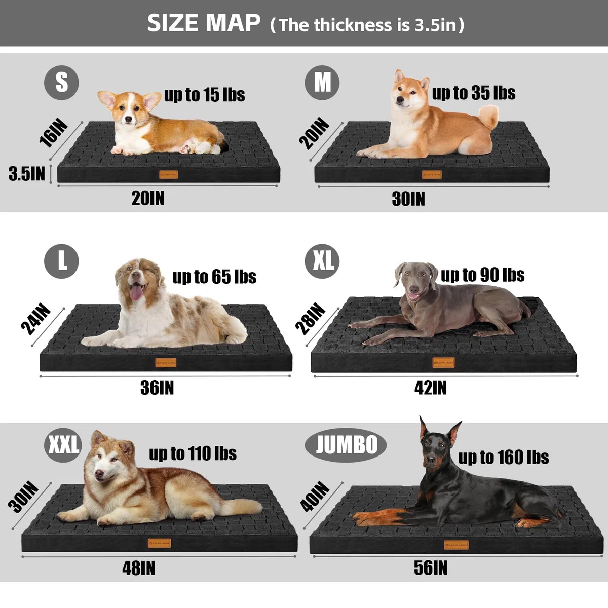 Patas Lague Cama ortopédica para perros grandes, impermeable, suave, cálida, cómoda, de espuma, tamaño mediano, con funda extraíble lavable y parte inferior antideslizante, 36 x 24 pulgadas, color