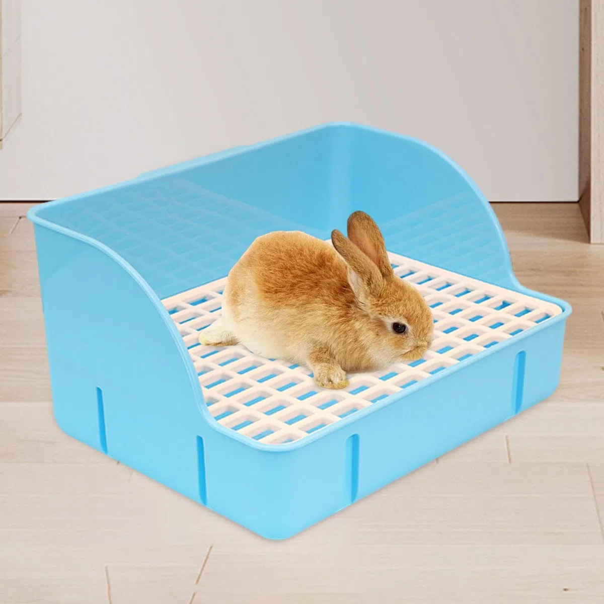 Arenero para Gatos para Jaula, Arenero para Jaula, Bandeja de Arena con Diseño, Arenero de Esquina para Cobayas Y Chinchillas, Malla de PP Azul