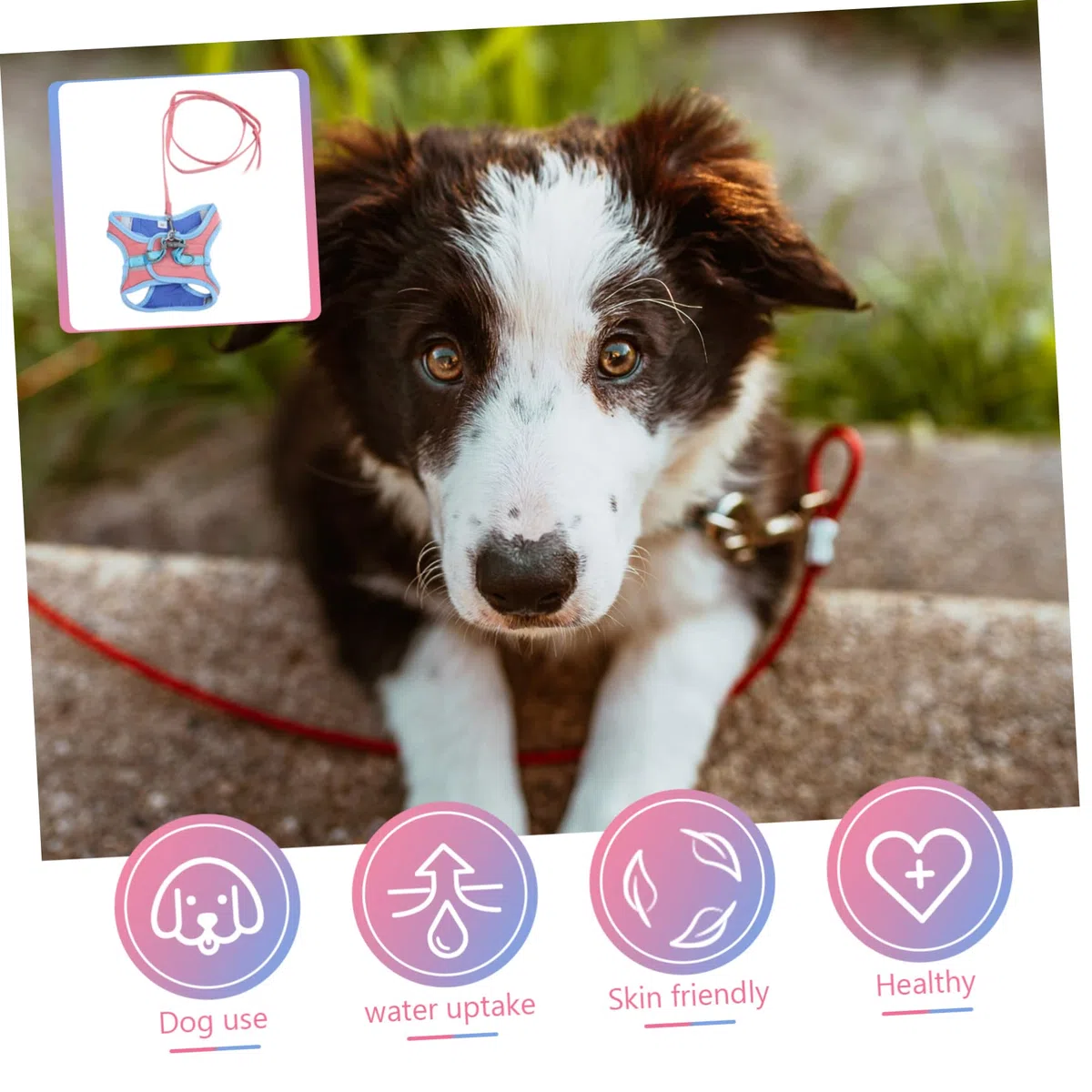 Didiseaon Chaleco Reflectante de 3 Piezas para Perros Y Gatos Moderno Y Elegante para Pasear al Aire con Correa.