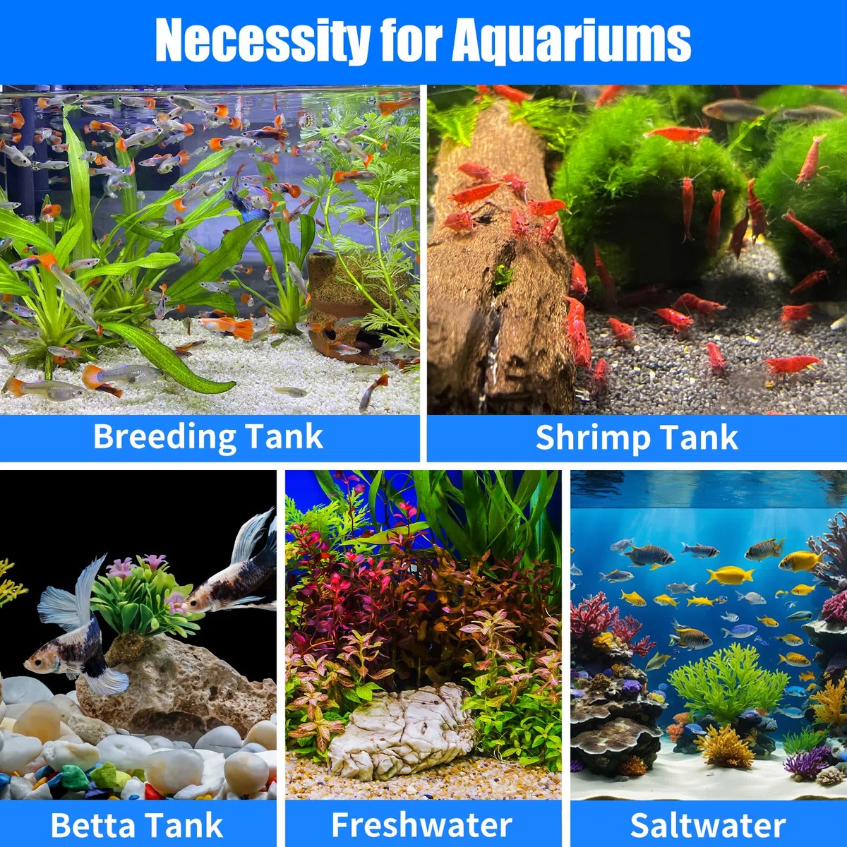 AQUANEAT Paquete de 12 esponjas de prefiltro para acuario, camarones, freír, filtro de tanque de peces, cubierta de espuma de repuesto (2.2 pulgadas de profundidad x 3.9 pulgadas de alto, 1 pulgada)