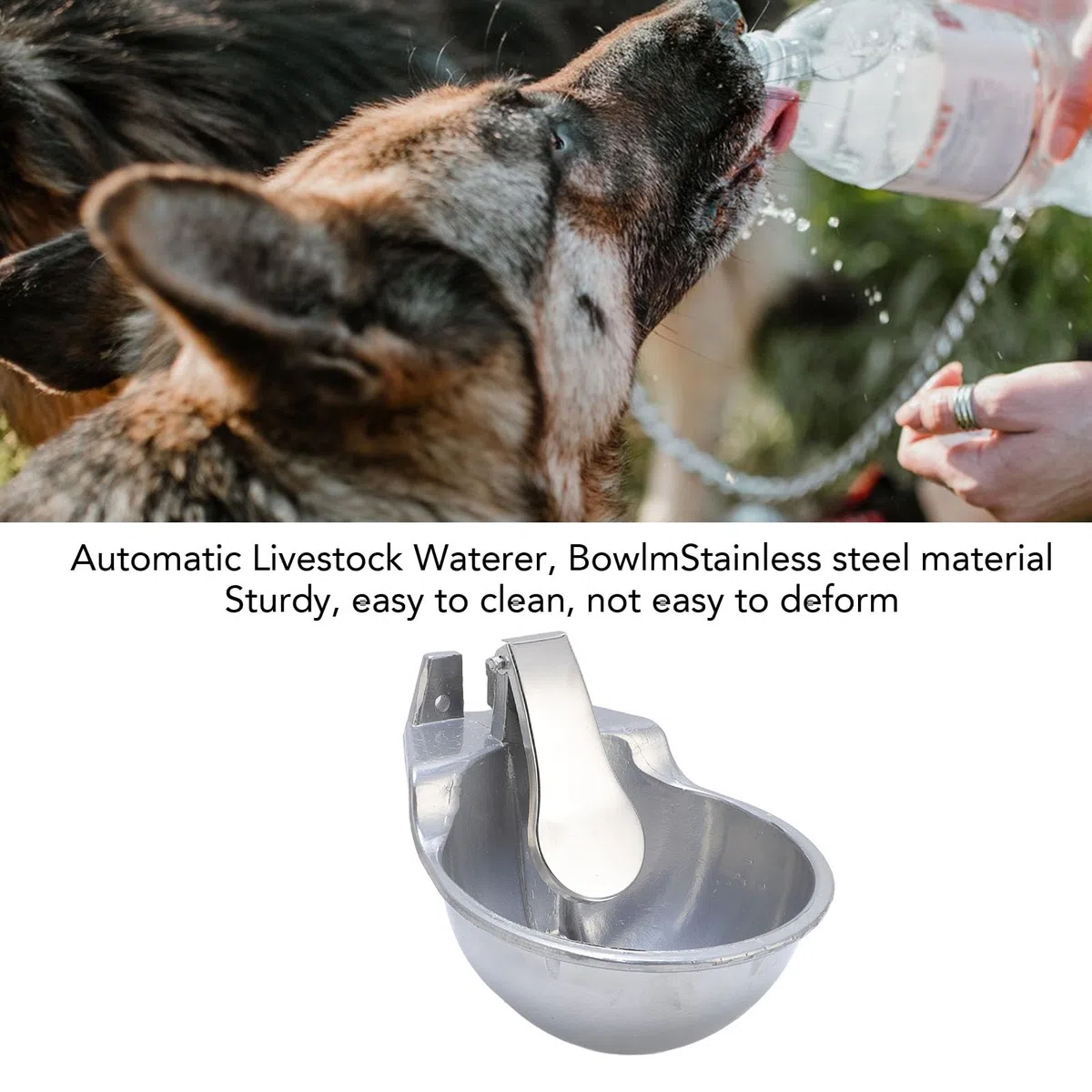 Chrees Bebedero Automático para Ganado, Bebedero Automático para Caballos, Cuenco de Agua, Cuenco Multiusos de Acero Inoxidable con Control Preciso del Agua, Fácil