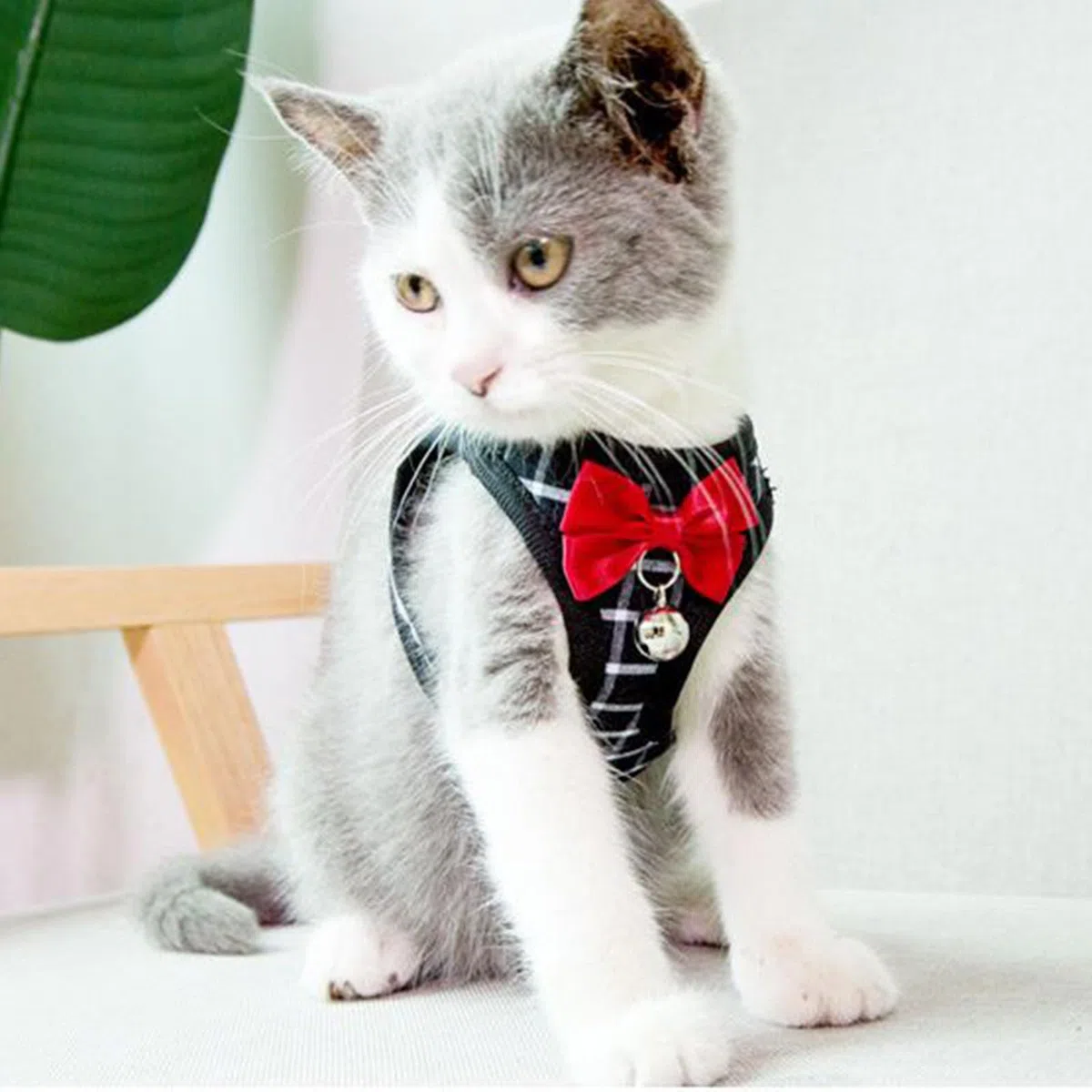 Juego de arnés y Correa para Gatos, Chaleco Suave Transpirable para Gatos y Perros, a Prueba de Escapes con decoración de Campana y Lazo para Navidad (XS, Negro)