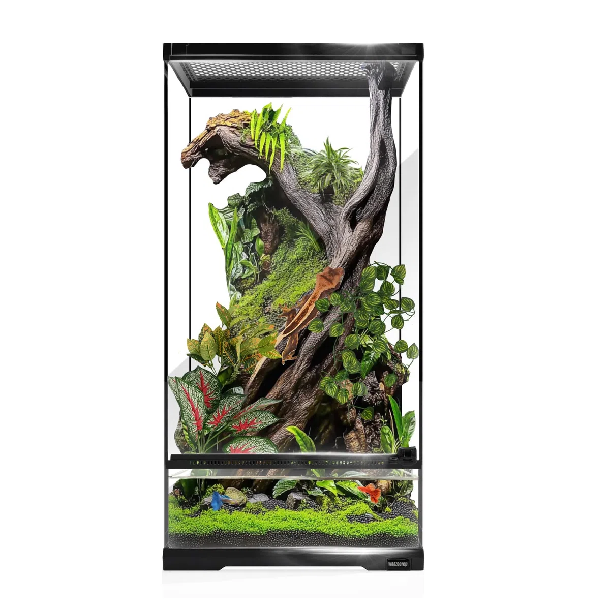Tanque de vidrio para reptiles de 15 galones de alto de 12 x 12 x 24 pulgadas con sistema de drenaje, jaula vertical premontada para gecos arbóreos, camaleón, lagarto, rana de árbol y