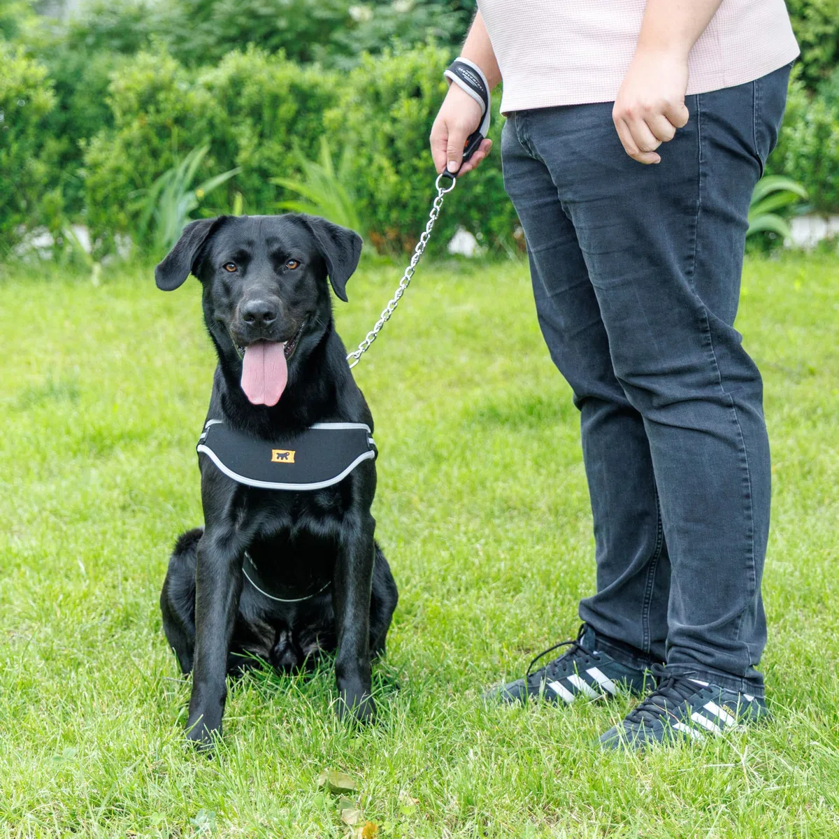 Ferplast Arnés Perros Grande ERGOCOMFORT Nordic, Arnés Sueco para Perros, Cómodo Acolchado, Reflectante, Cierre con Microrregulación, Liberación Rápida, Grande