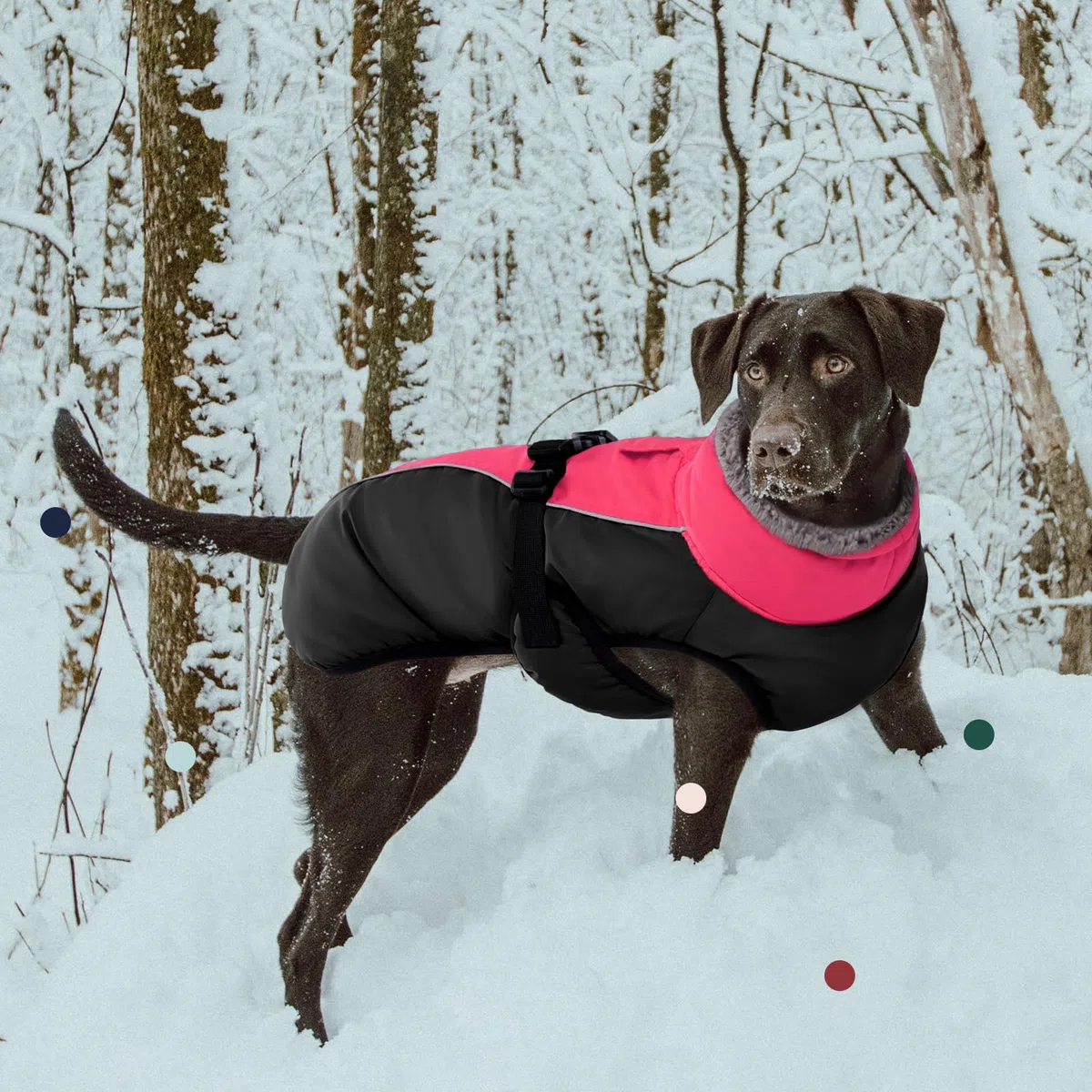 IECOii Abrigo extra cálido para perro, reflectante, ajustable, abrigo de invierno para perro con hebilla, chaqueta de forro polar con cuello alto para clima frío, abrigo de invierno suave para perros