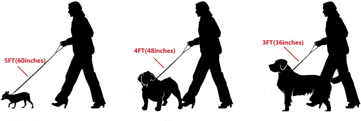 Correa de cadena para perro de acero inoxidable de 12 mm, con asa cómoda de cuero auténtico para perros grandes, medianos y pequeños (oro, 3 pies)