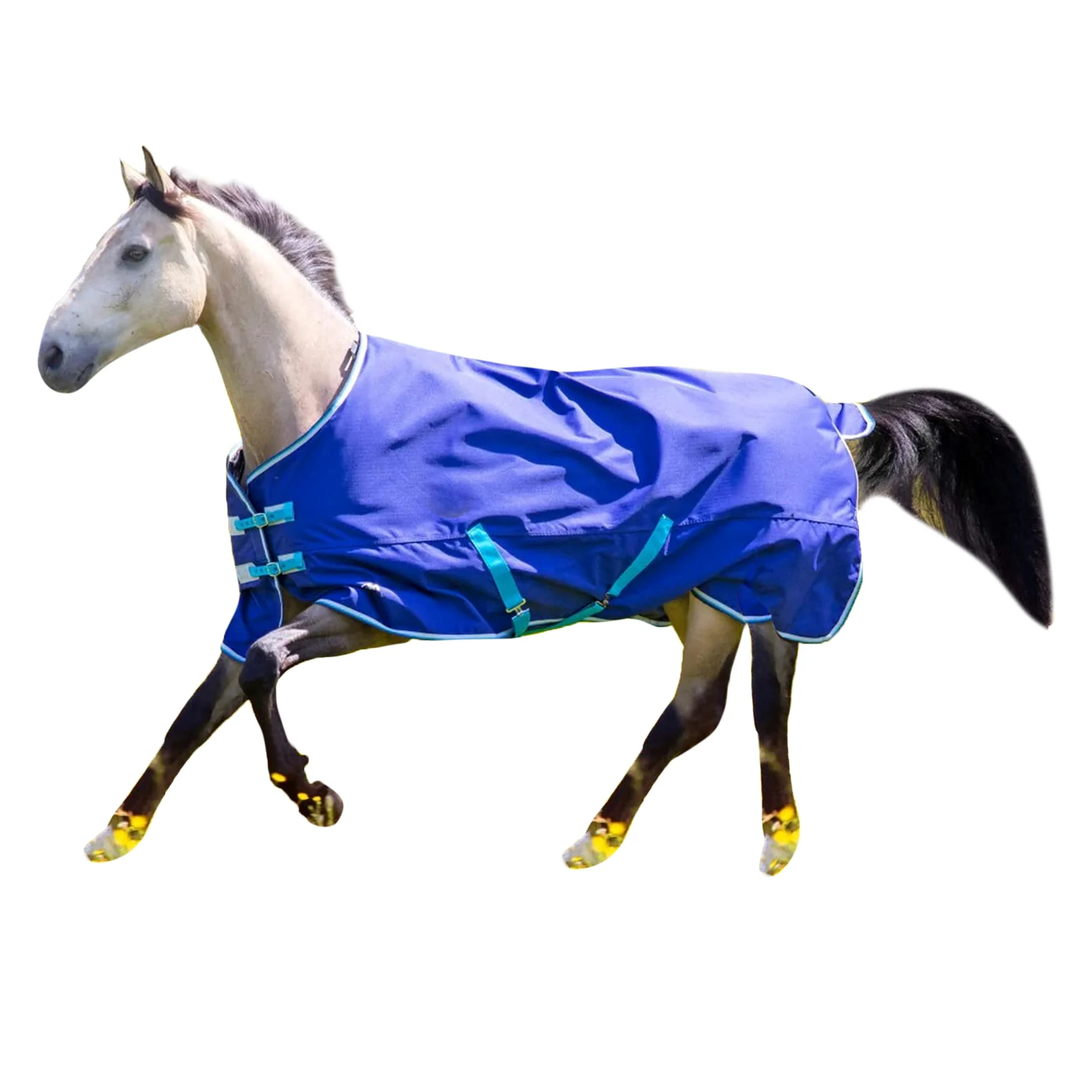 Tempest - Manta de Caballos para Ejercicio Cuello Estándar Original 100 (7') (Marino)