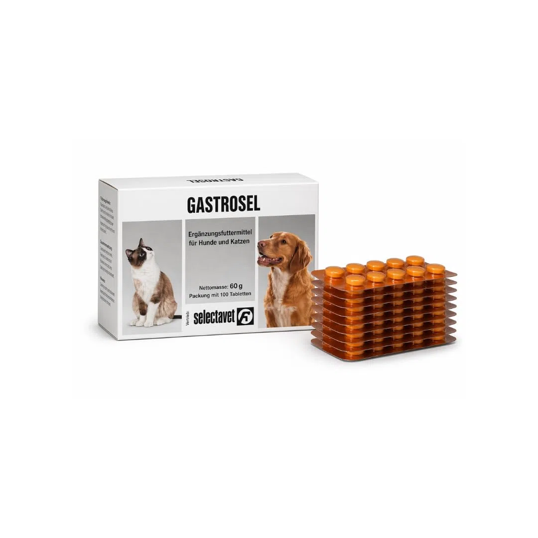 Gastrosel | 100 pastillas | Complemento alimenticio para perros y gatos | Con caolinita y óxido de magnesio