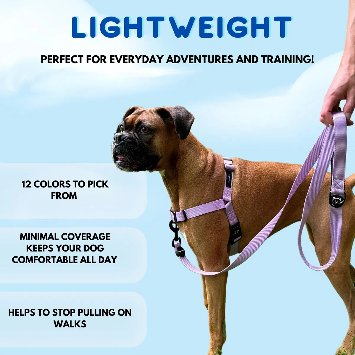 ShawnCo Dream Walk - Arnés para Perro sin tirones, Ajustable, cómodo y fácil de Usar para Ayudar a Dejar de Tirar, para Perros pequeños, medianos y Grandes (Azul océano, S)