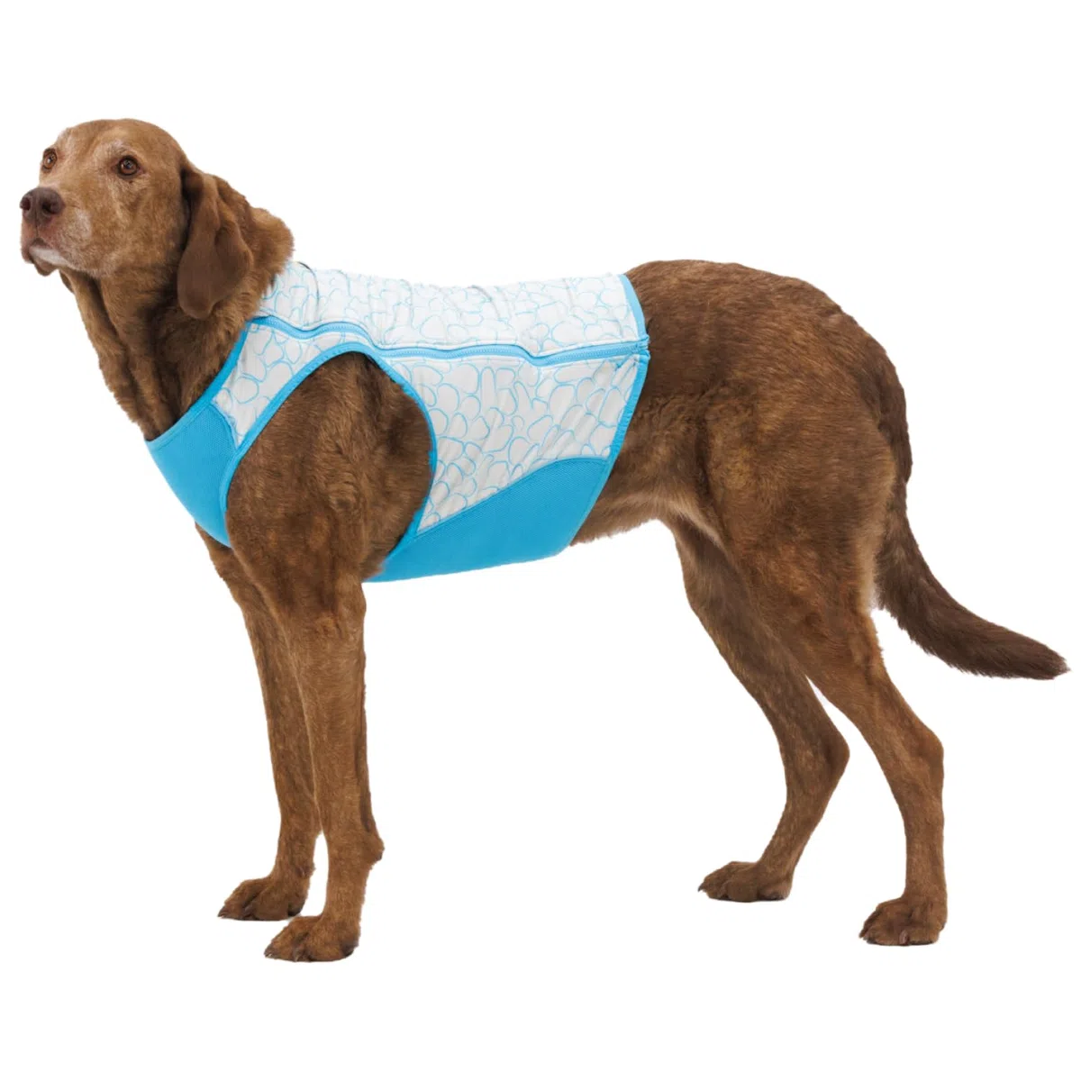 Ruffwear, chaleco con cremallera enfriador de pantano para perros, refrigeración evaporativa para climas cálidos, gris grafito, grande
