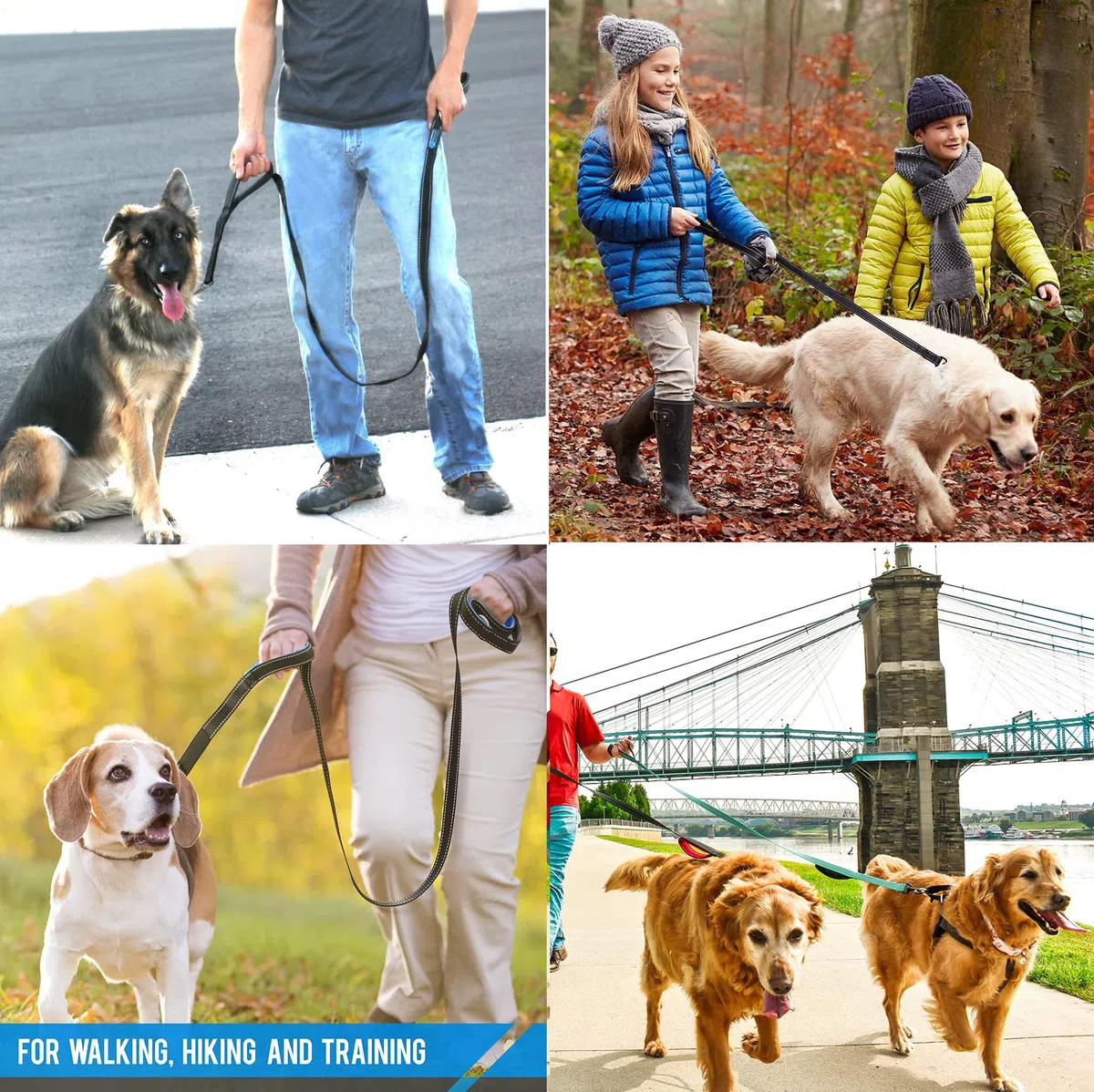 Correa para perro resistente, 2 asas con asa acolchada para mayor control, 6 pies de largo, perfecta para perros medianos a grandes (6 pies, negro azul)