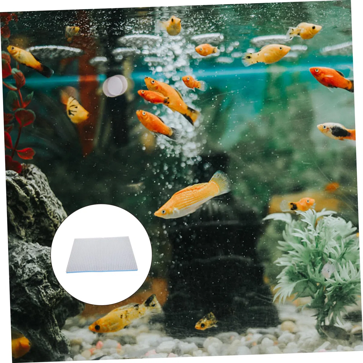 4piezas Esponja De Acuario Sin Adhesivos Almohadilla De Filtrado para Peceras Alta Densidad y para Filtración De Agua Tanques De Peces