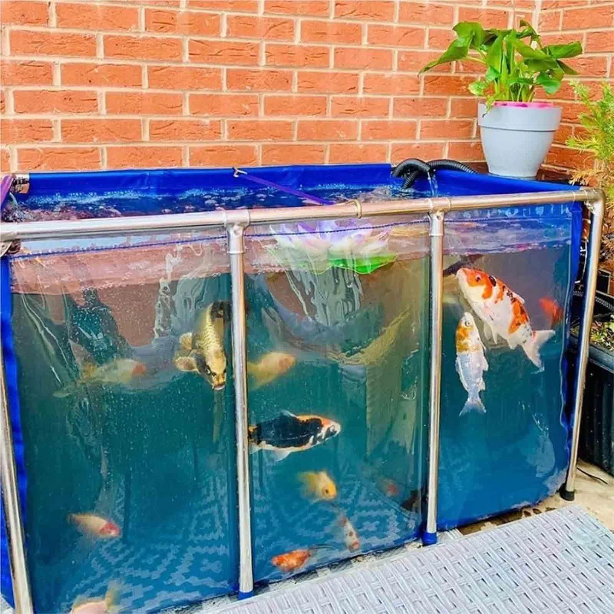Estanque de lona para peces, acuario grande de PVC/lona con estante, depósito temporal portátil y versátil, para agricultura de jardín y suministro de agua de emergencia, fácil de ensamblar, 001,