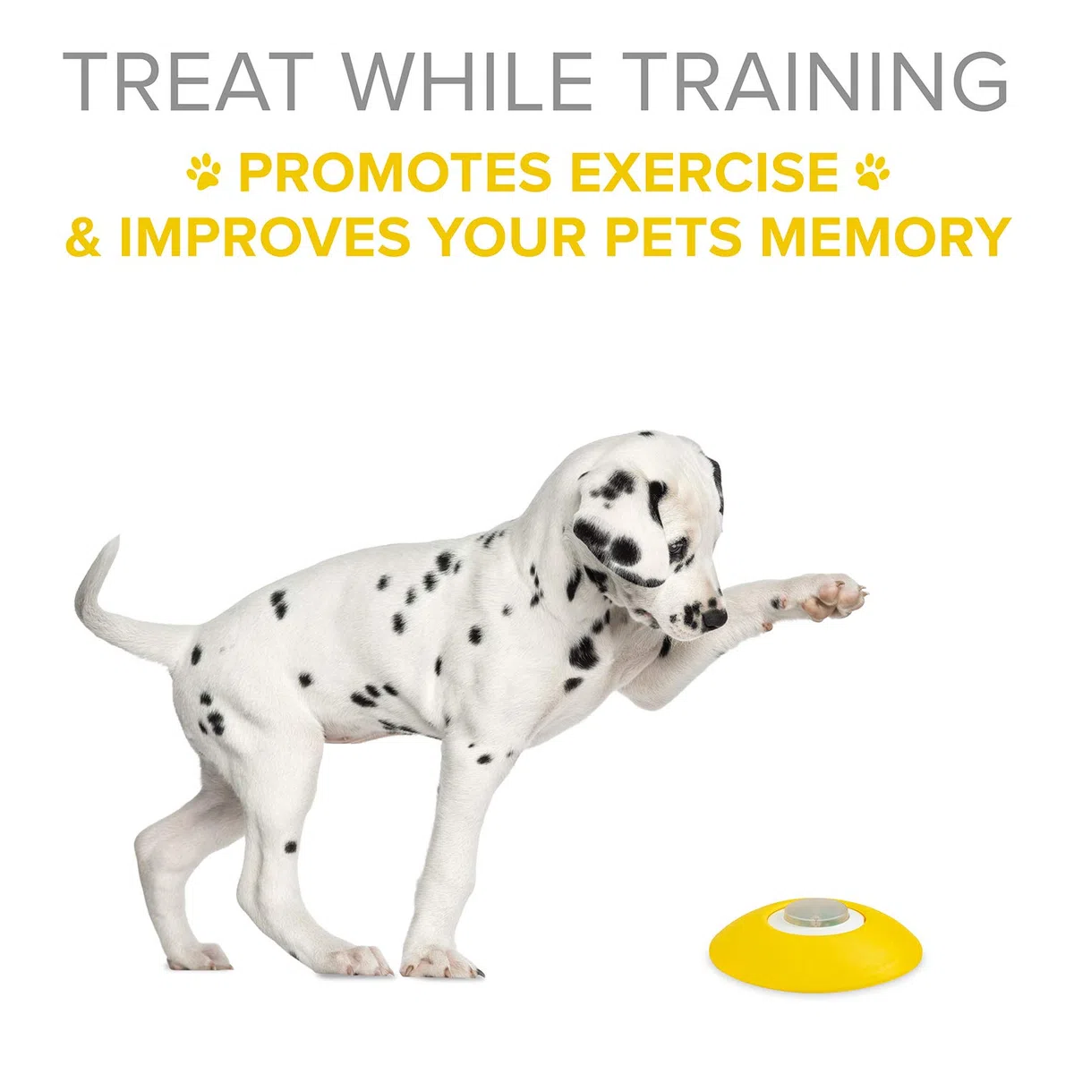 Arf Pets Dispensador de Golosinas para Perros con Botón Remoto – Juego Inteligencia Perros para la Memoria Canina – Premia Mientras Entrenas, Fomenta el Ejercicio con Recompensas y Mejora la Memoria