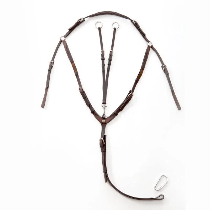 Kavalkade Collar de Caza para Caballos Everyday