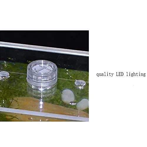 Acuario Pequeños tazones de Pescado Transparente Ultra-Transparentes Cuadrados DIRIGIÓ Acuario del Tanque de Peces DIRIGIÓ Calentador con Planta de imitación de paisajismo. Pecera(White Lighting,S)
