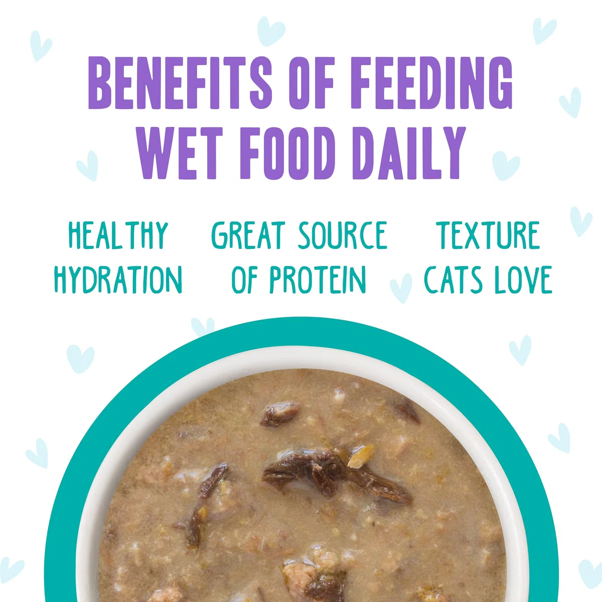 Weruva B.F.F. OMG - Best Feline Friend Oh My Gravy! Comida húmeda natural sin cereales para gatos enlatados, país y lago, recetas en salsa