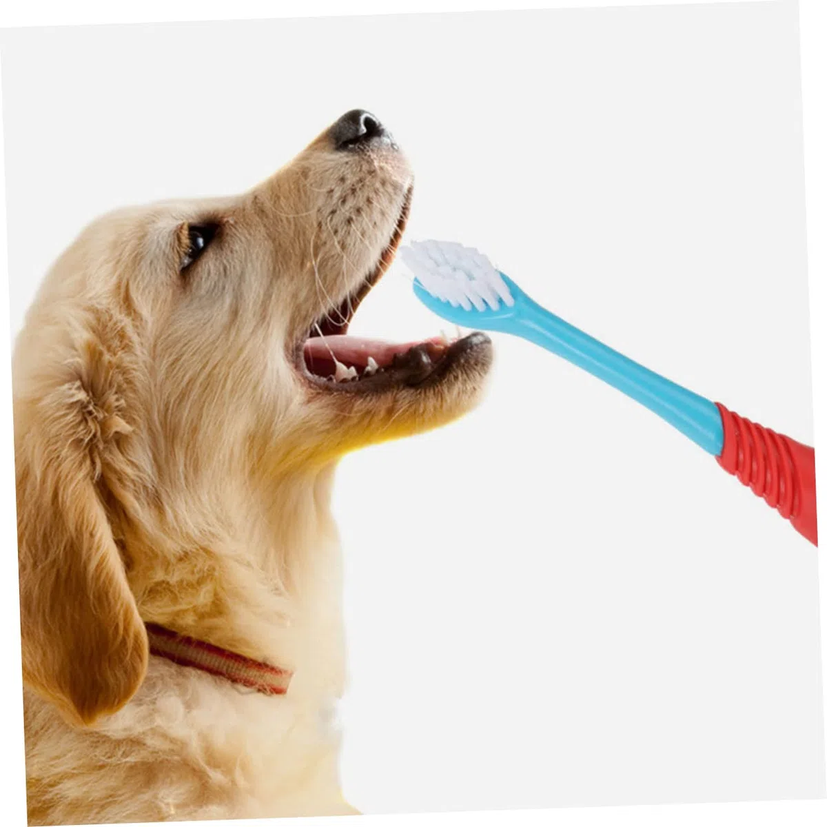 Kisangel 12piezas Cepillo De Dientes Para Mascotas De Diseño De Doble Cabeza Cepillo Para Perros y Gatos Limpieza Efectiva y Masaje De Encías