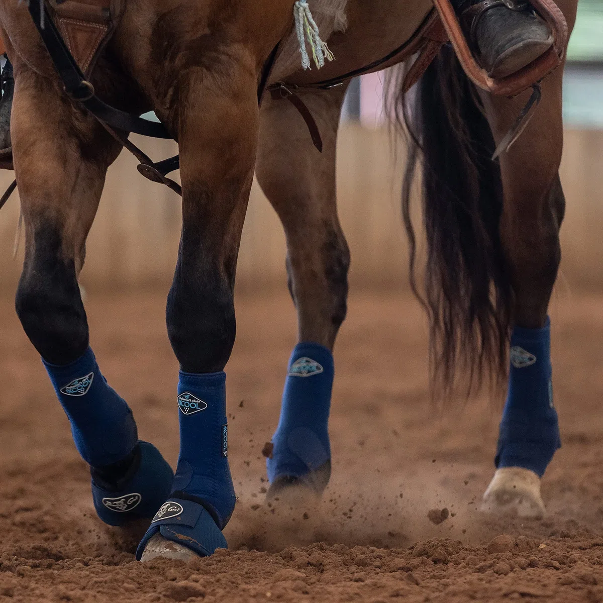 Professional's Choice 2XCOOL Botas deportivas de medicina para caballos activos, diseño protector y transpirable para máxima comodidad y durabilidad, juego económico de 4, L, azul marino