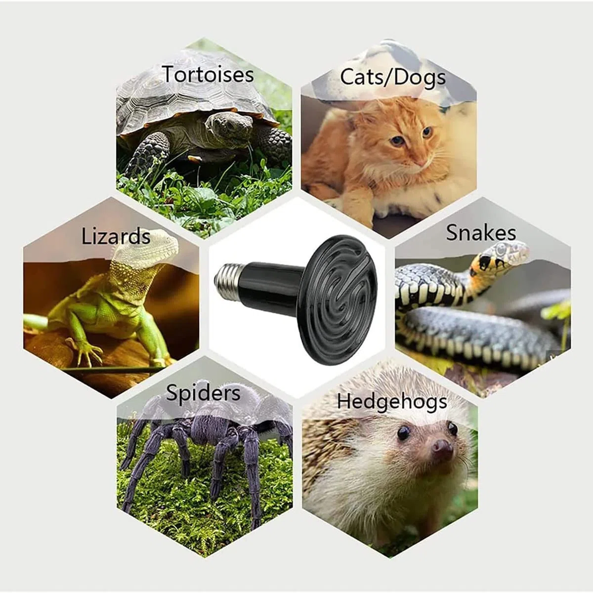 Lámpara Calefacción Reptil, Lámpara Calefacción 25-150W, con Pantalla Lámpara Y Tubo Hierro A Prueba Mordeduras, para Acuario Gallinas Y Lagartos,25W