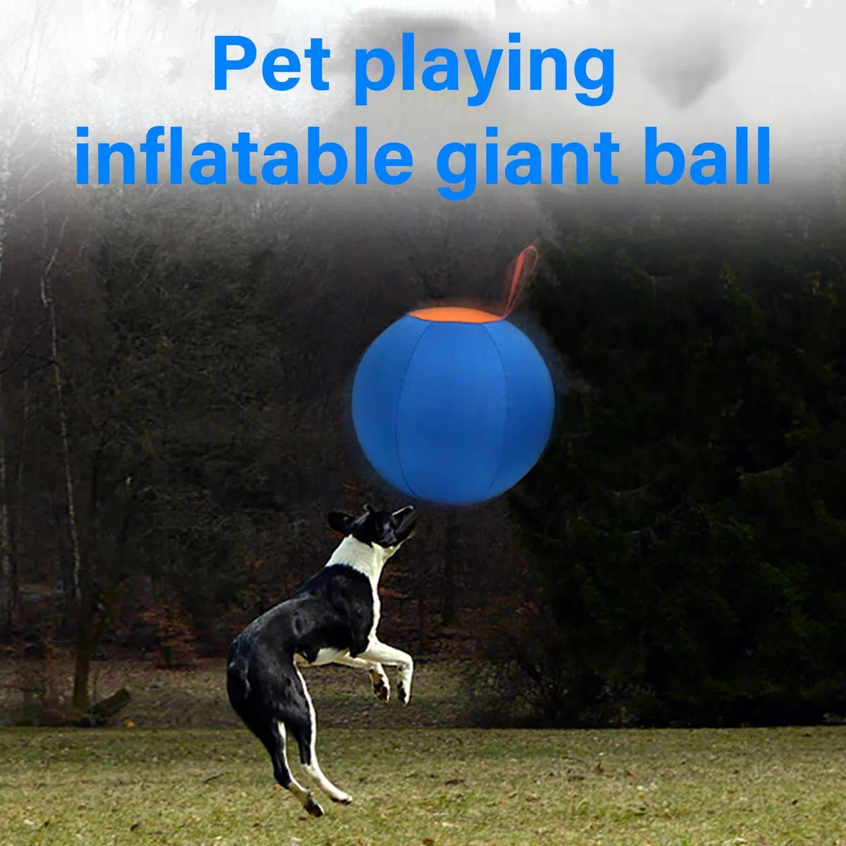 Esfera de Juego para Perros de Servicio, Razas activas, Perros ganaderos, pastores, diversión Aire, Juego en Patio Trasero, Juguete Interactivo para Perros
