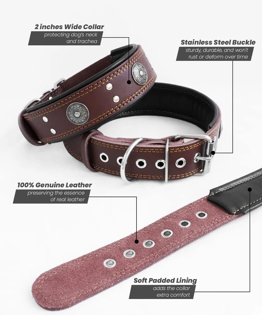 Collar de cuero para perro, collares de cuero genuino resistente de 5 cm de ancho, hecho a mano, suave y lujoso, la mejor opción para perros de raza grande y mediana de 19.5 a 23.5 pulgadas