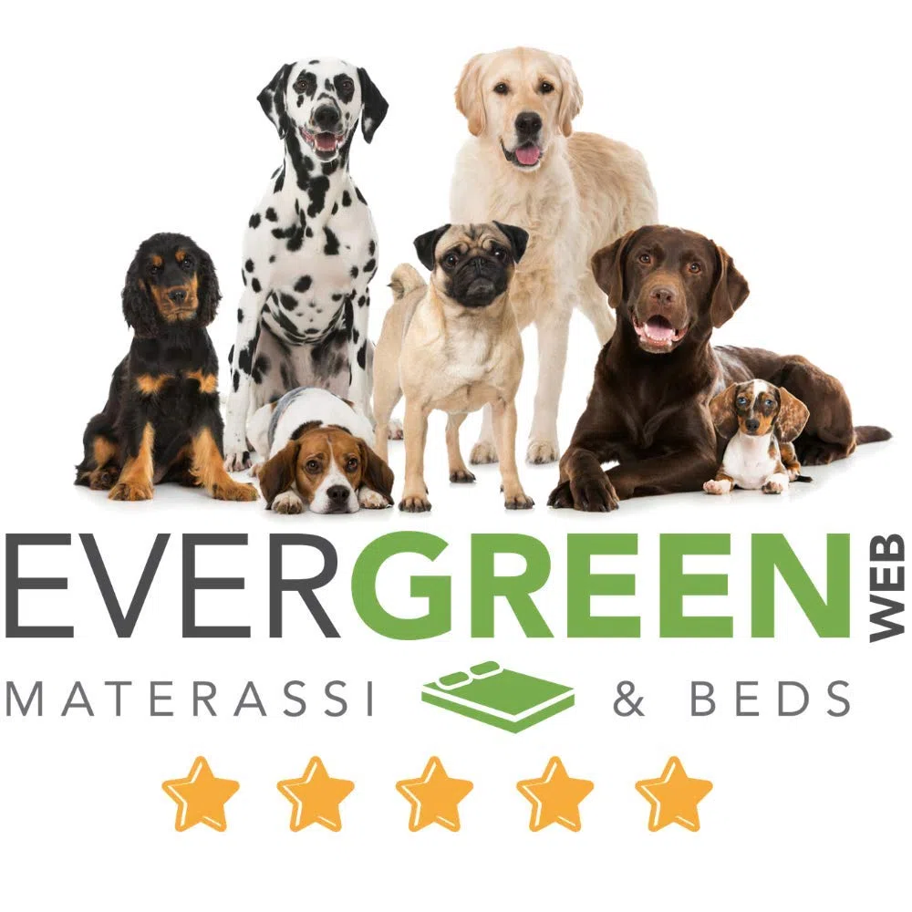 evergreenweb – Cama para perros 45 x 65 cm de tamaño pequeño, Relleno de Lazo Water Foam efecto pluma Suave lavable, caseta de interiores con cojín desenfundable, colchón para animales Domésticos, Rex
