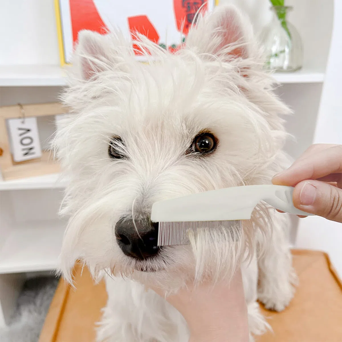 Peine antipulgas para perros y gatos, peine para piojos de mascotas, elimina pulgas y huevos de pulgas, removedor de manchas de lágrimas, peine para desenredar y desenredar la cara y las patas, peine