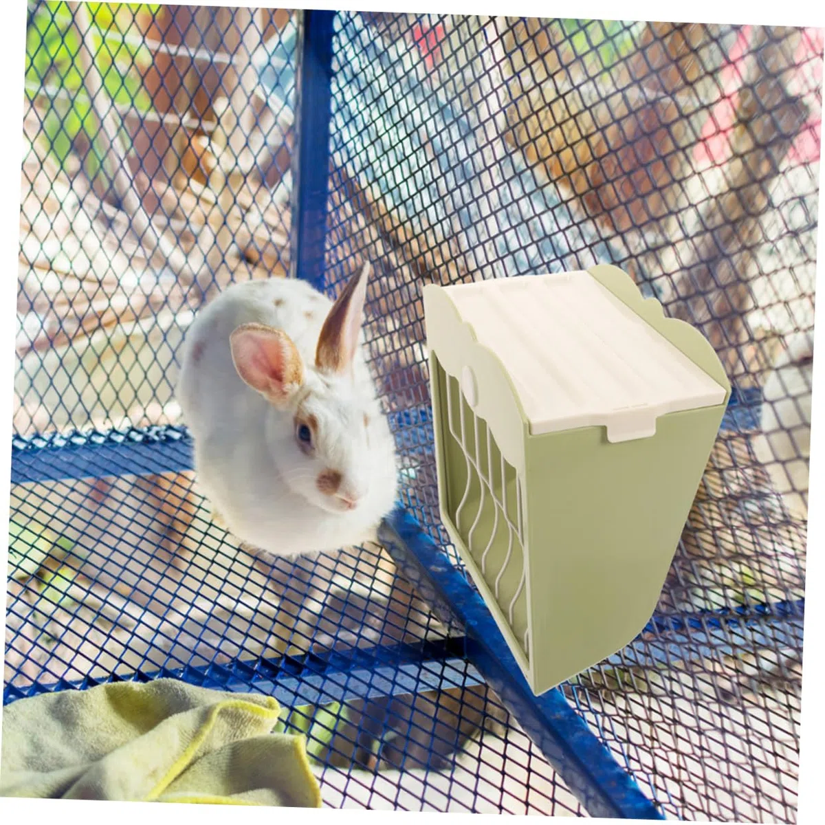 Soporte Alimentador para Conejos y Cobayas Funcional Multifunción Plástico 2 Piezas Verde para Jaula y Mascotas Pequeñas