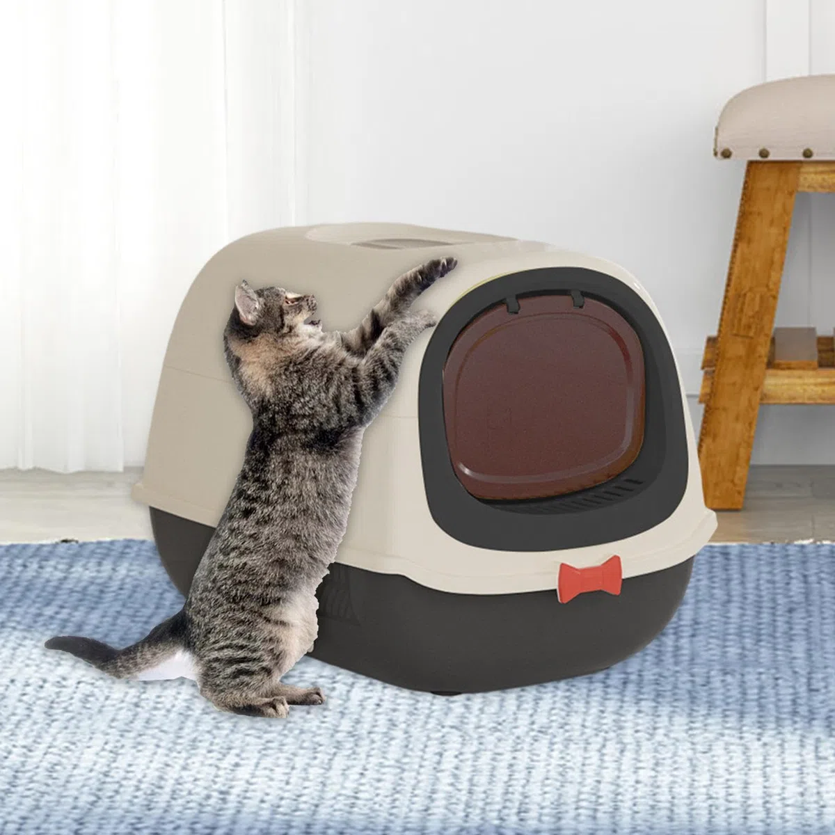 Arenero para Gatos Totalmente Cerrado con Bandeja Y Tapa Extraíbles, Entrada Zona Apto para Gatos Domésticos, Negro