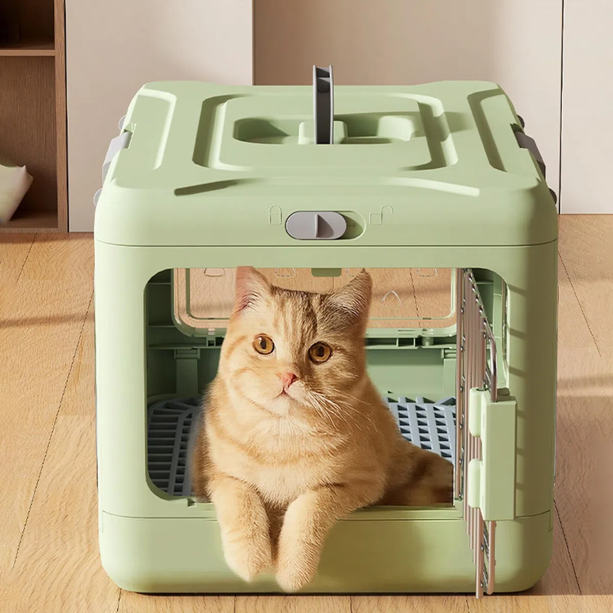Transportín para Gatos Transporte Plegable Para Mascotas Y Almacenamiento | Transportín Rígido de Perros Salidas con Cachorros y Camping Ciclismo Exterior Caminatas Senderismo Viajes