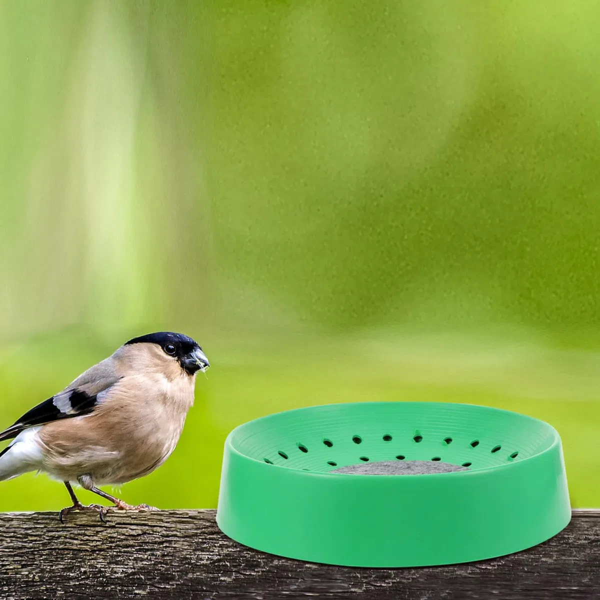 POPETPOP 8 piezas de plástico pájaro jaula de pájaro nido de pájaro nido de aves nido para anidación nido de aves