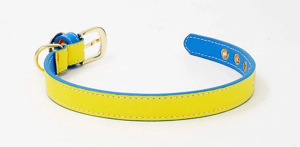 Correa para Mascotas Nuevo Collar de Perro de diseño Personalizado de Cuero Genuino para Mascotas, Collar de Gato, Accesorios para Perros, 100% Hecho a Mano, Collar de Perro pequeño para Cachorros-r