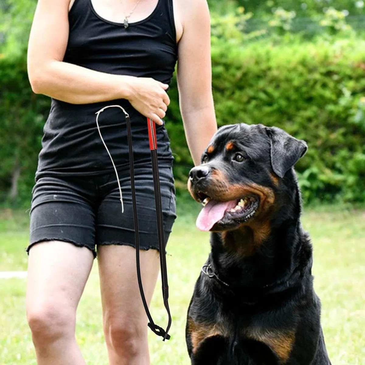 Juguete Interactivo para Perros, Cuerda Resistente para Tirar, Almohada Masticable, Dos Asas Resistentes, Costuras Reforzadas, Adecuado, Poste de coqueteo