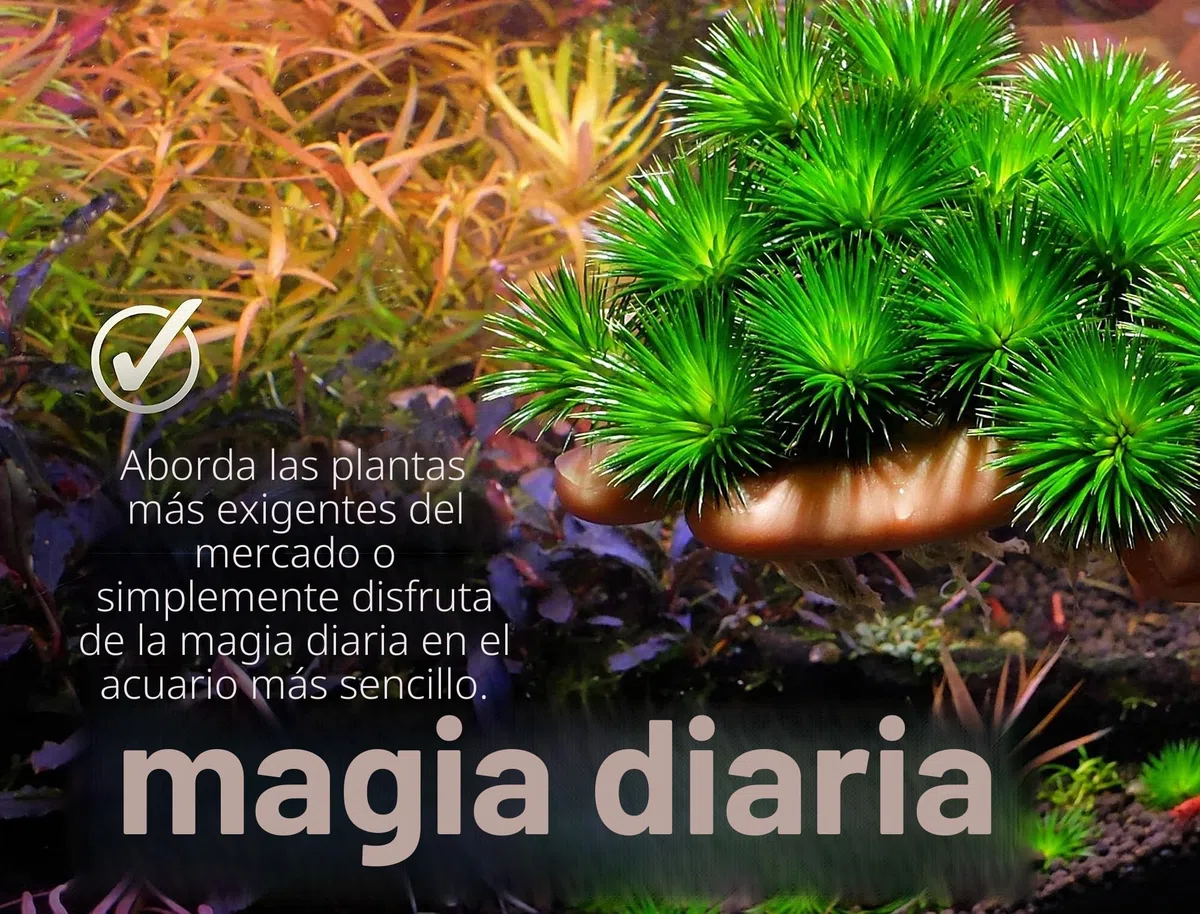 THE 2HR AQUARIST Abono Plantas Acuario APT 3/ Complete (1000ml)