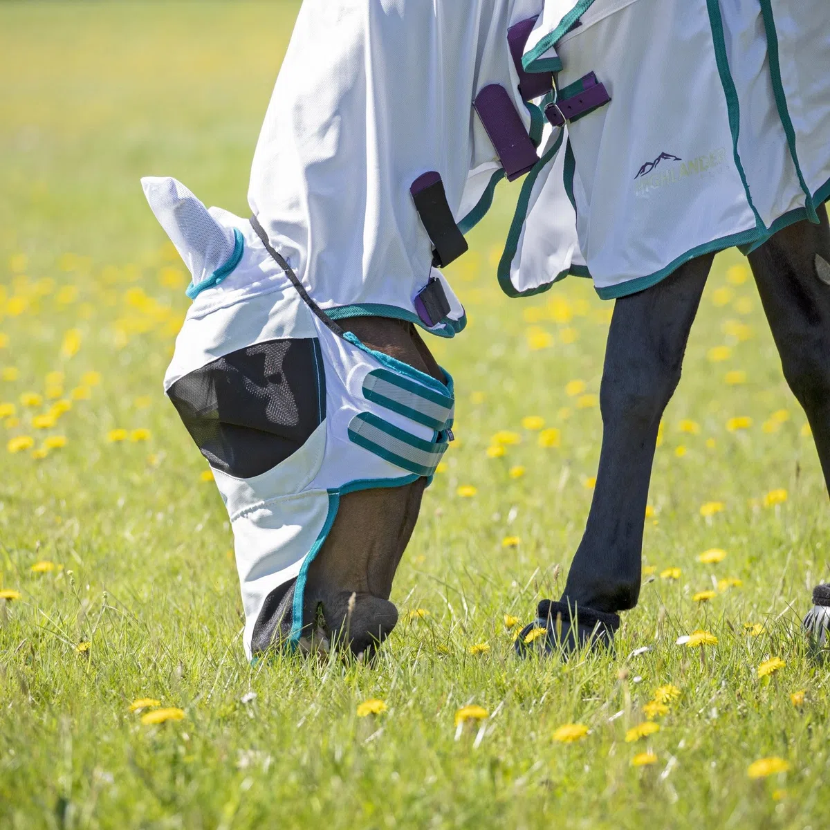 Shires Ultra Pro - Máscara antimoscas