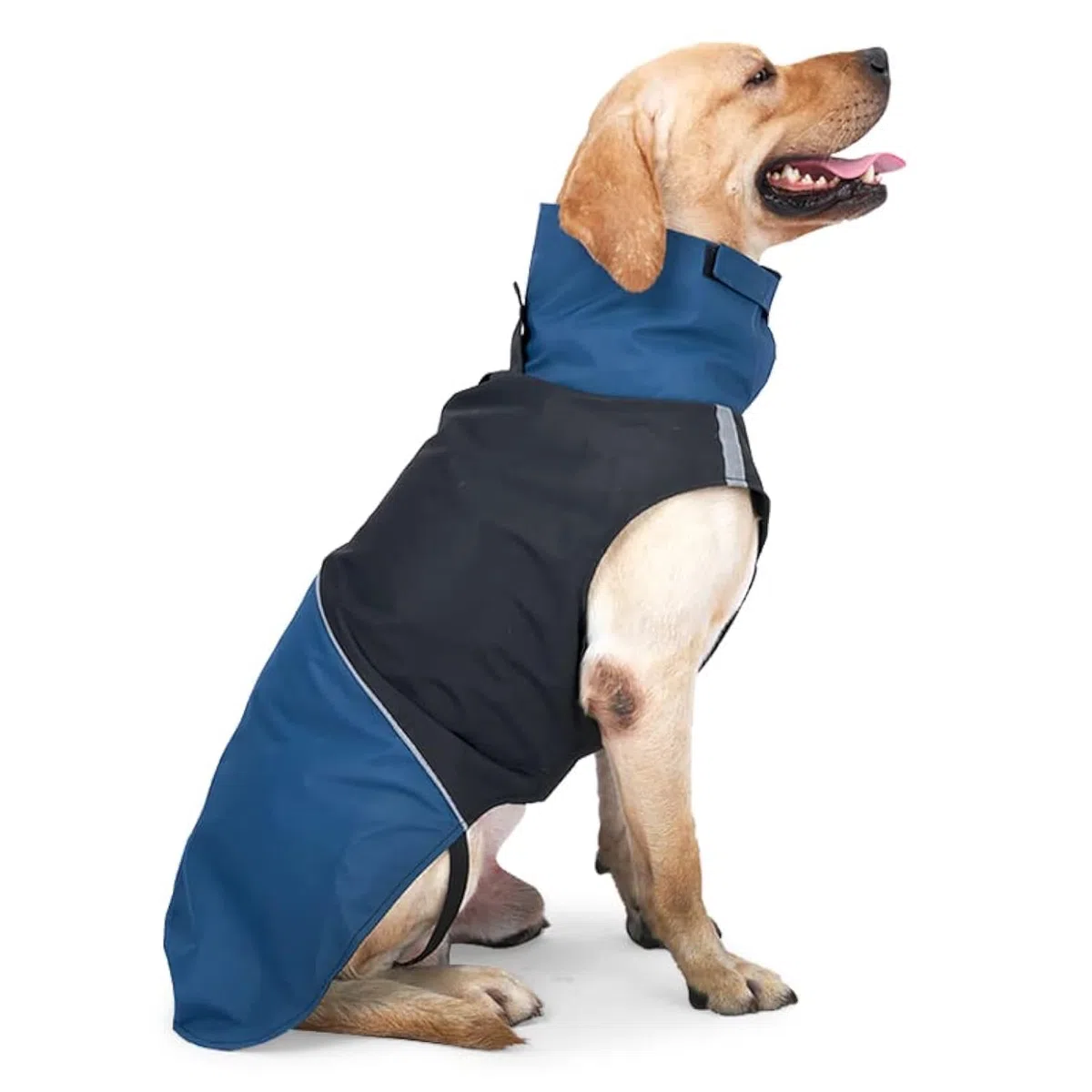 Abrigos cálidos para perro, resistentes al viento, chaquetas de invierno para exteriores, abrigos para clima frío para perro, impermeables con agujero para correa de perro, negro y azul, talla M