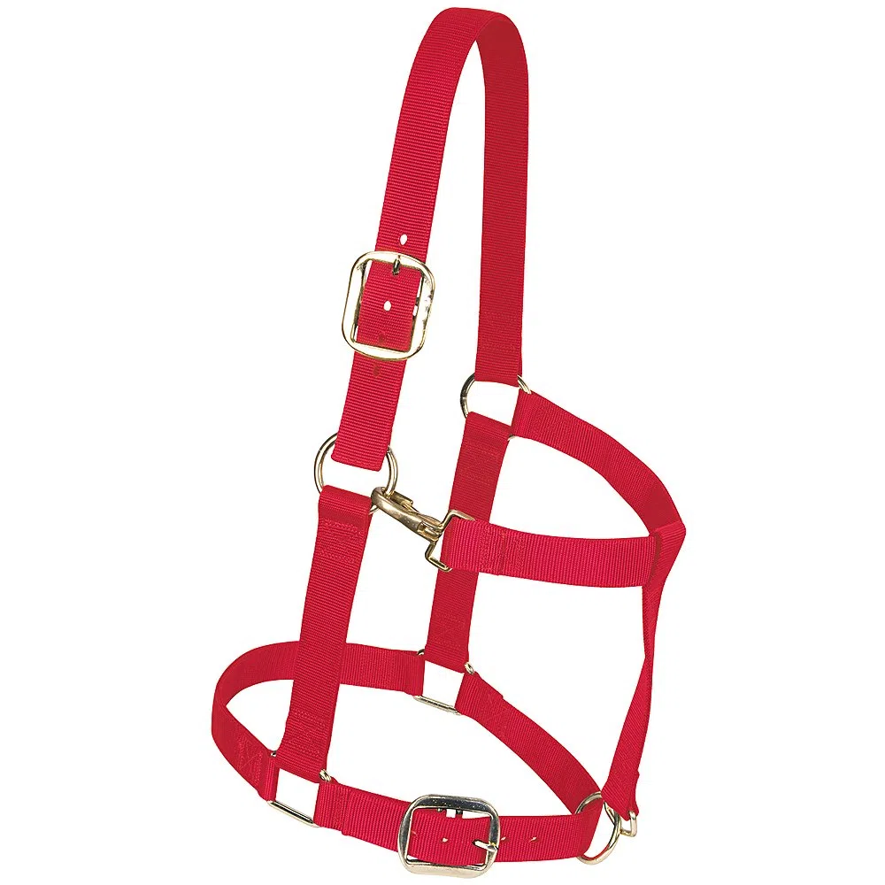 Weaver Leather, Cabestro Ancho Ajustable de Nailon para Caballo de Tiro Largo, Rojo