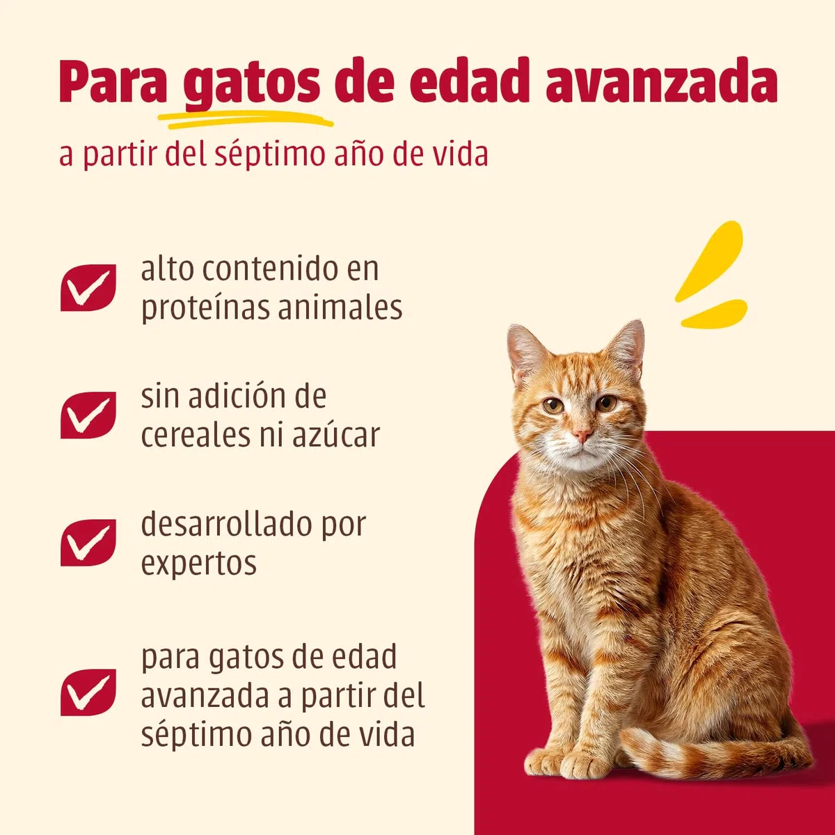 Comida para gatos animonda Carny Senior, comida húmeda para gatos a partir de 7 años, vacuno + corazón de pavo, 6 x 400 g