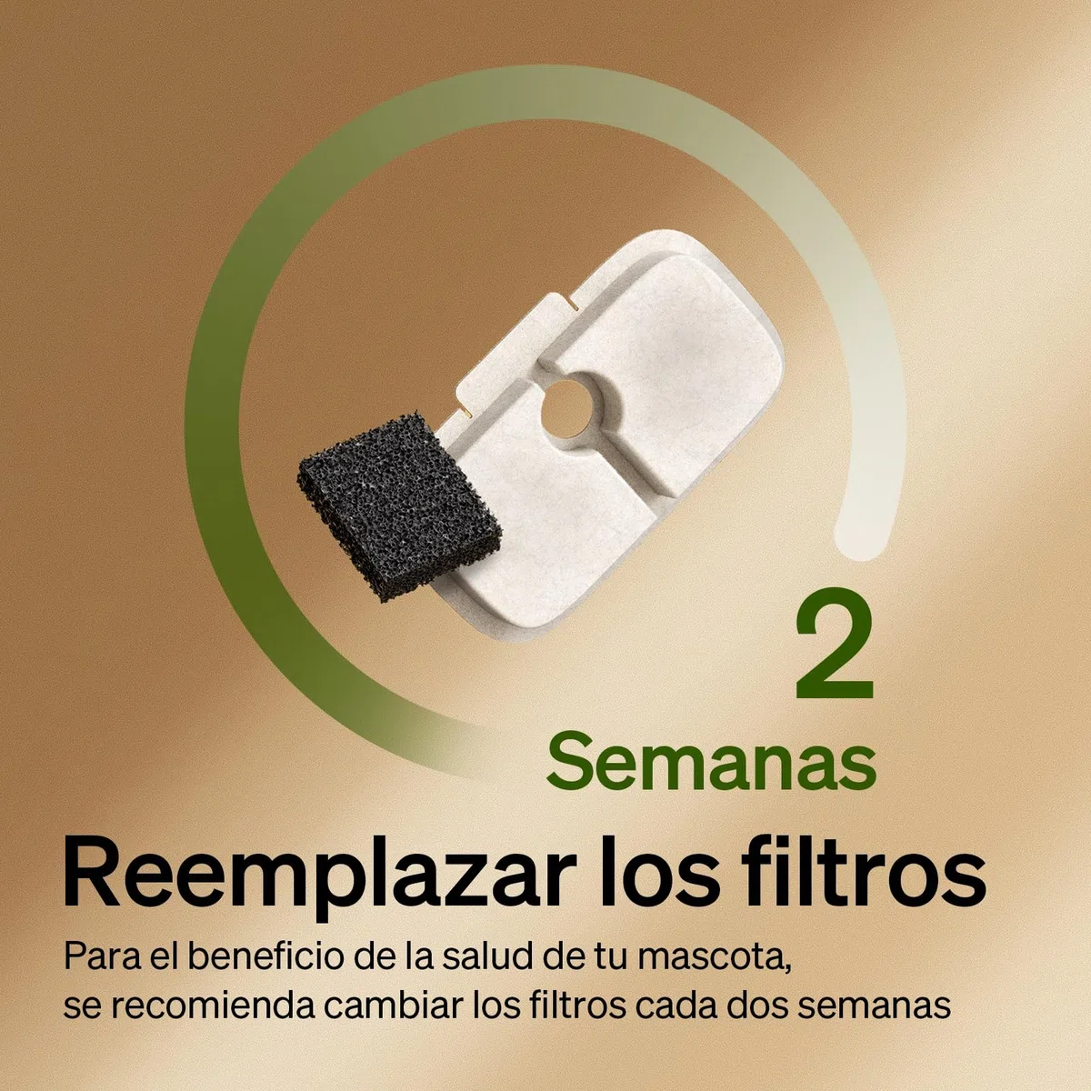 PETLIBRO Filtros para Gatos, 8 Filtros Verticales Compatibles con Dockstream PLWF005, PLWF115, PLWF105，PLWF106，PLWF116