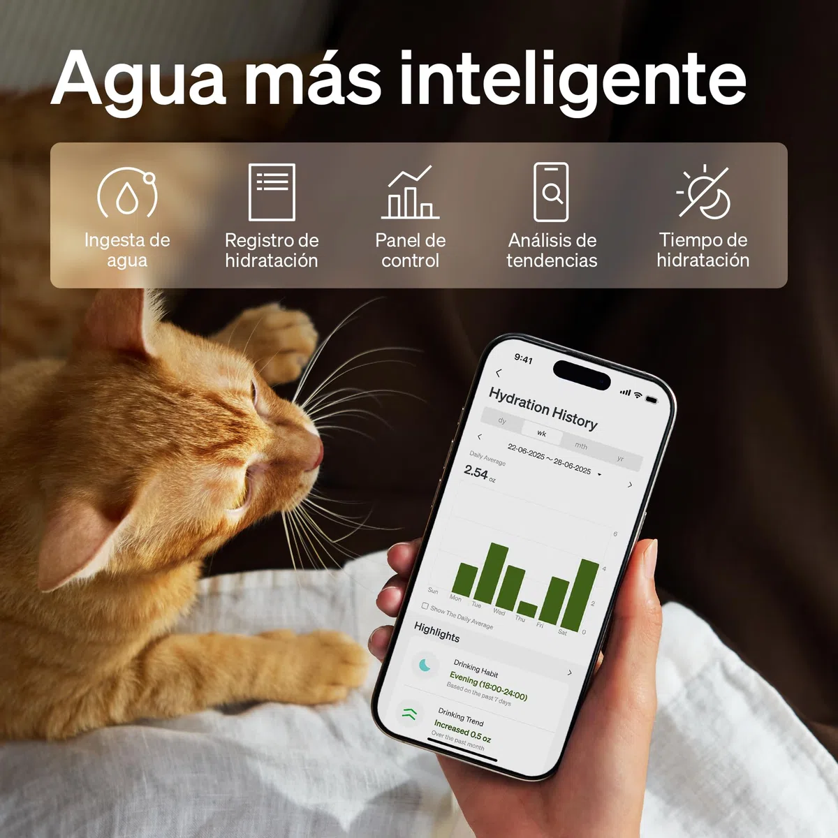 PETLIBRO Dockstream 2 Fuente Agua Gatos, Bebedero Automático App WiFi, 23dB Silencioso, Fácil Limpieza, 3L Acero Inoxidable, sin BPA — Batería 5000mAh Inalámbrico, Negro