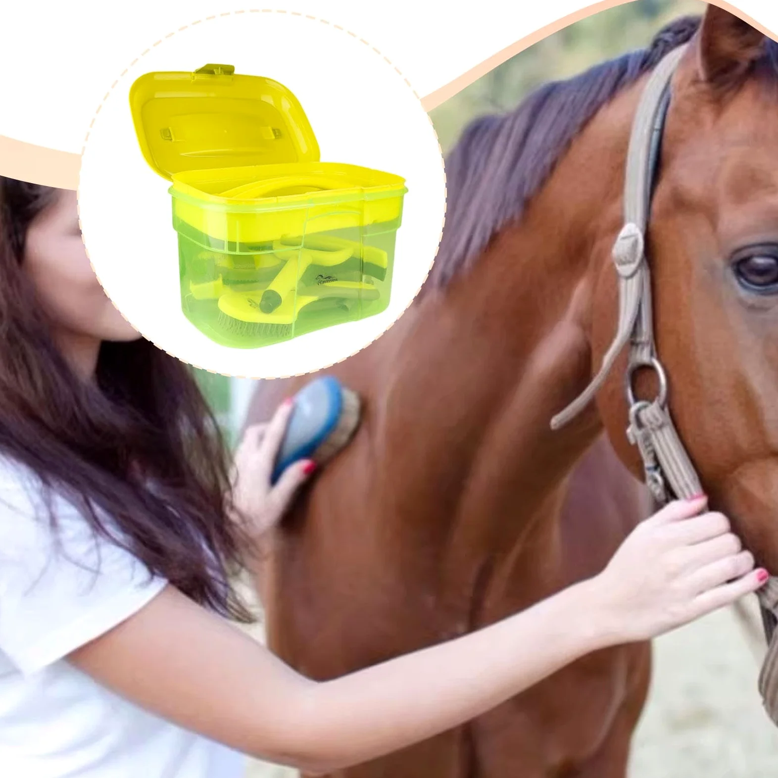 Amagogo Kit de Aseo para Caballos de 8 Piezas: cepillos, raspadores y Accesorios de Calidad. Durabilidad Profesional. Incluye Organizador y