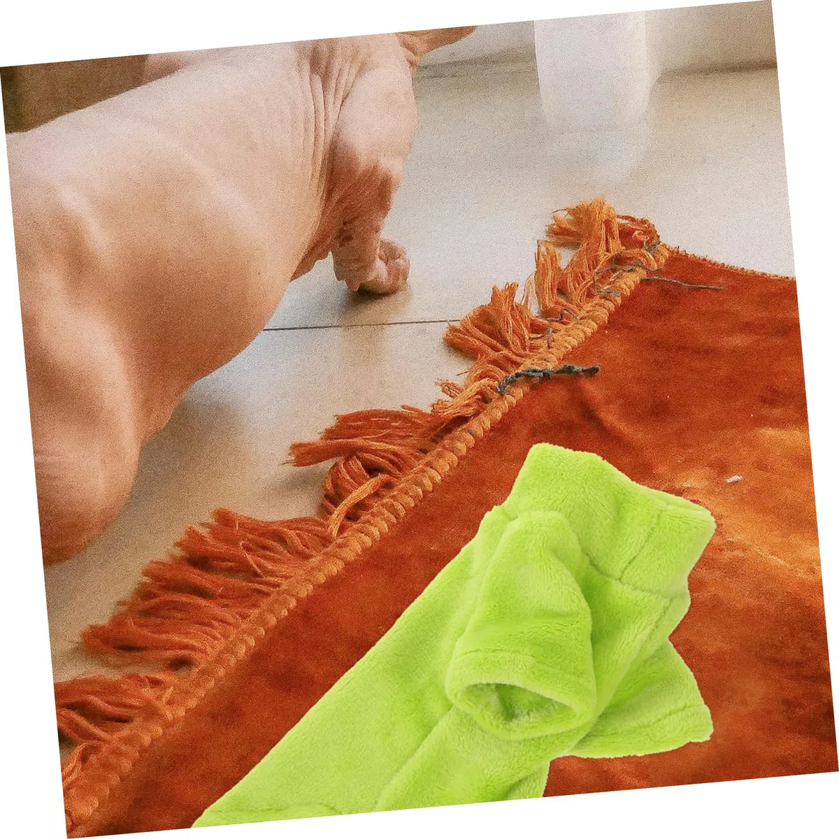 VANZACK 5 Piezas Ropa para Mascotas Ropa De Gato De Peluche Decoración De para Mascotas Ropa Transpirable para Gatos Abrigo De Gato Ropa Térmica para Gatos Terciopelo