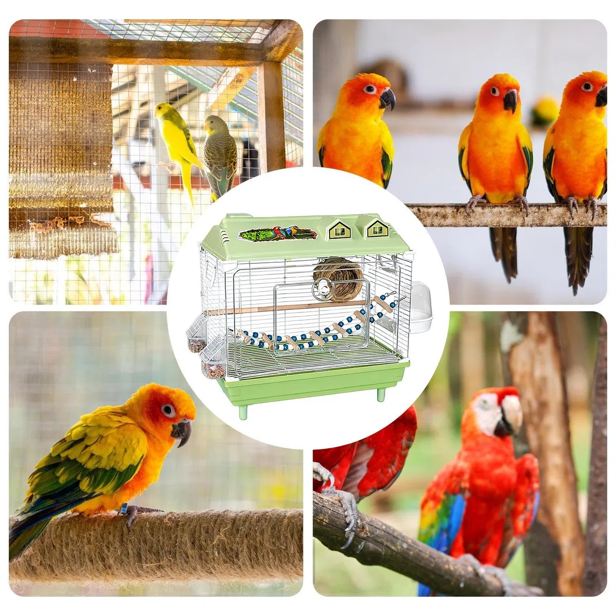 Jaula para Aves y Pájaros Hogar Portátil Transparente para Ninfas | Jaula para Canarios con de Madera Para Guacamayos, Conuros, Cacatúas, Pinzones Y Agapornis De Interior